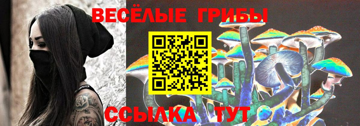 Псилоцибиновые грибы мицелий Полысаево